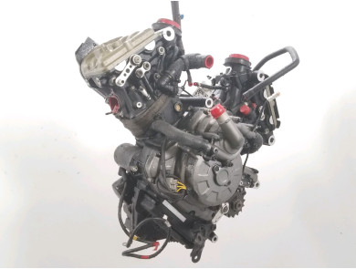 Engine DUCATI 1200 MONSTER S - T0-2025E