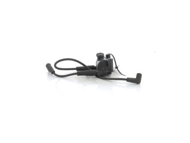 Bobine moto HARLEY-DAVIDSON 1690 DYNA LOW RIDER NOIR - R0-6089X