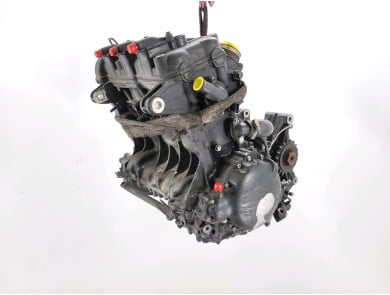 Engine TRIUMPH 955 SPRINT ST - E0-8127S