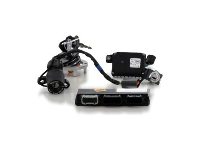 Kit neiman TRIUMPH 660 TRIDENT - K0-8195Y
