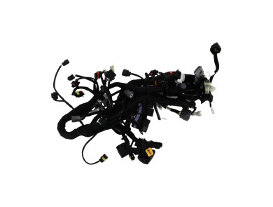 Faisceau électrique KTM 890 DUKE - L0-0866Z