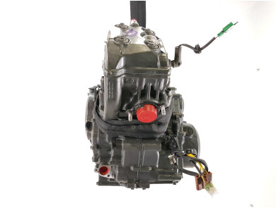 Engine KTM 390 RC - P1-0725K
