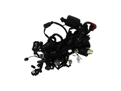 Faisceau électrique KAWASAKI 636 ZX 6R - F0-7624T