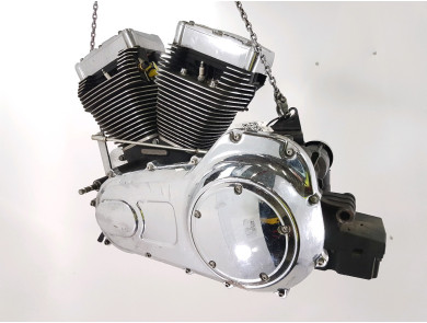 Engine HARLEY-DAVIDSON 1584 SAMPLE FLHX - T1-3264X