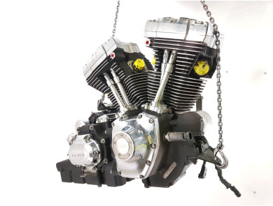 Engine HARLEY-DAVIDSON 1584 SAMPLE FLHX - T1-3264X