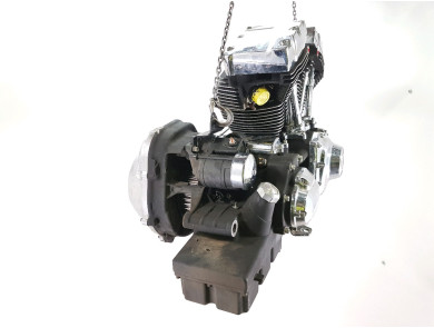 Engine HARLEY-DAVIDSON 1584 SAMPLE FLHX - T1-3264X
