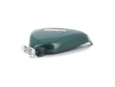 Left side panel TRIUMPH 900 THUNDERBIRD - X1-0317B