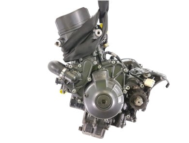 Engine YAMAHA 900 MT 09 - W1-4638E