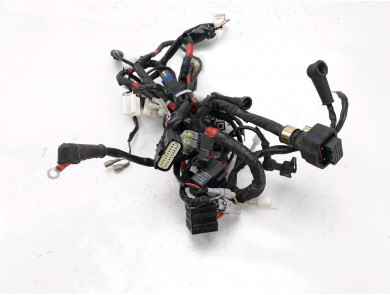 Wire harness MONDIAL 125 SCRAMBLER - X7-3747F