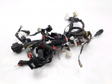 Wire harness MONDIAL 125 SCRAMBLER - X7-3747F